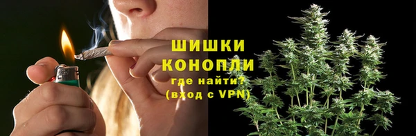 ГАЛЛЮЦИНОГЕННЫЕ ГРИБЫ Абинск