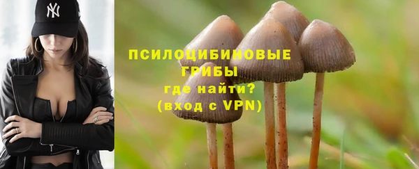 прущая мука Абдулино