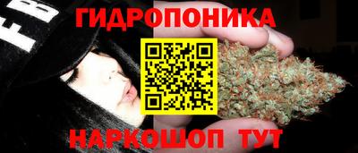 соль ск Усть-Илимск