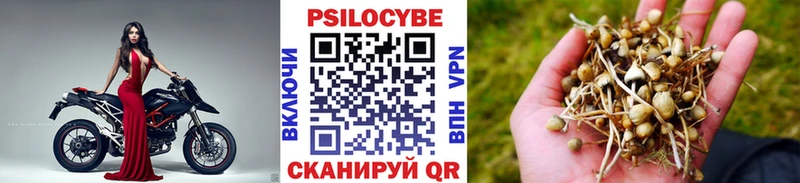 kraken онион  Нягань  Галлюциногенные грибы GOLDEN TEACHER 